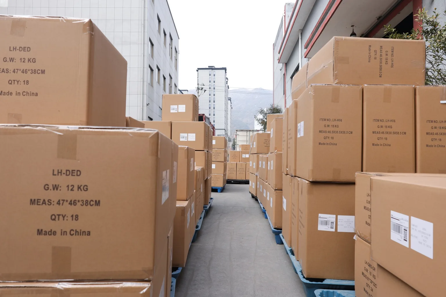 Packed cleaning products prepared for shipment